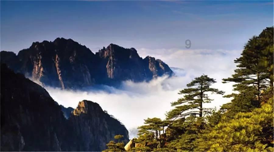 全民剧本大师内置菜单